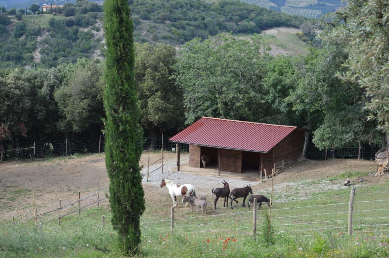 Bellavista Villa Seggiano ภายนอก รูปภาพ