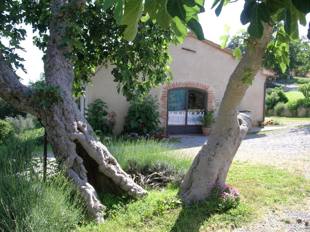 Bellavista Villa Seggiano ภายนอก รูปภาพ
